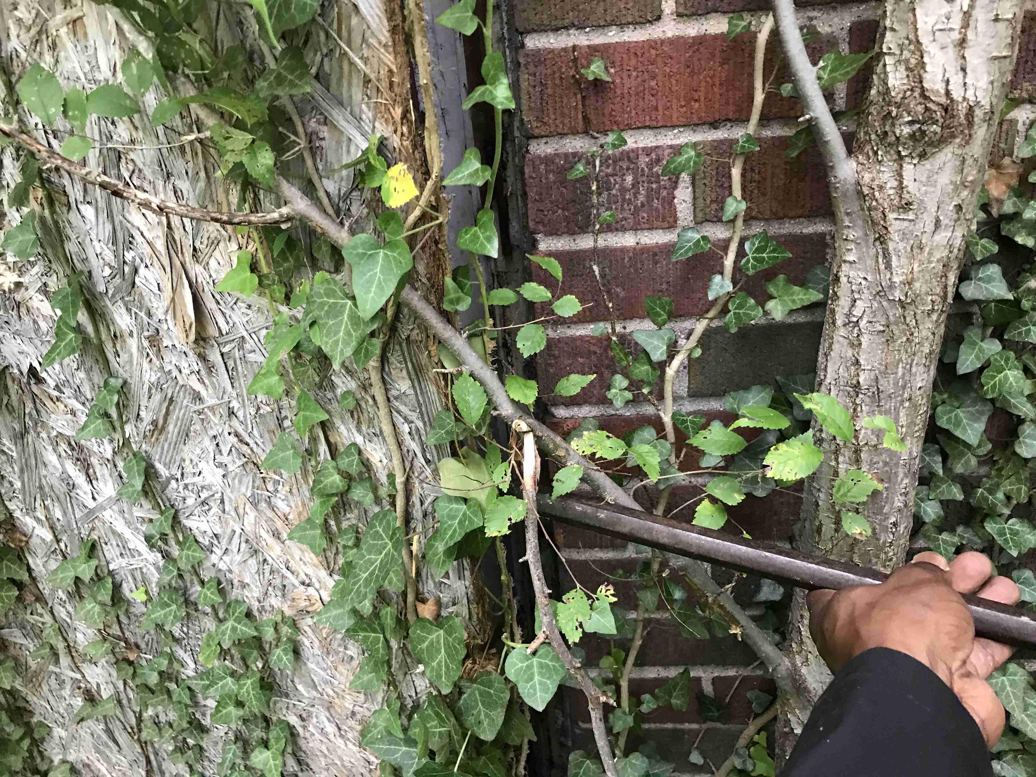 Photo Sep 10, 2 48 12 PM.jpg